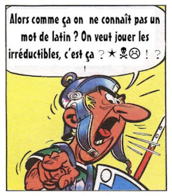 image asterix présentation LCA.jpeg